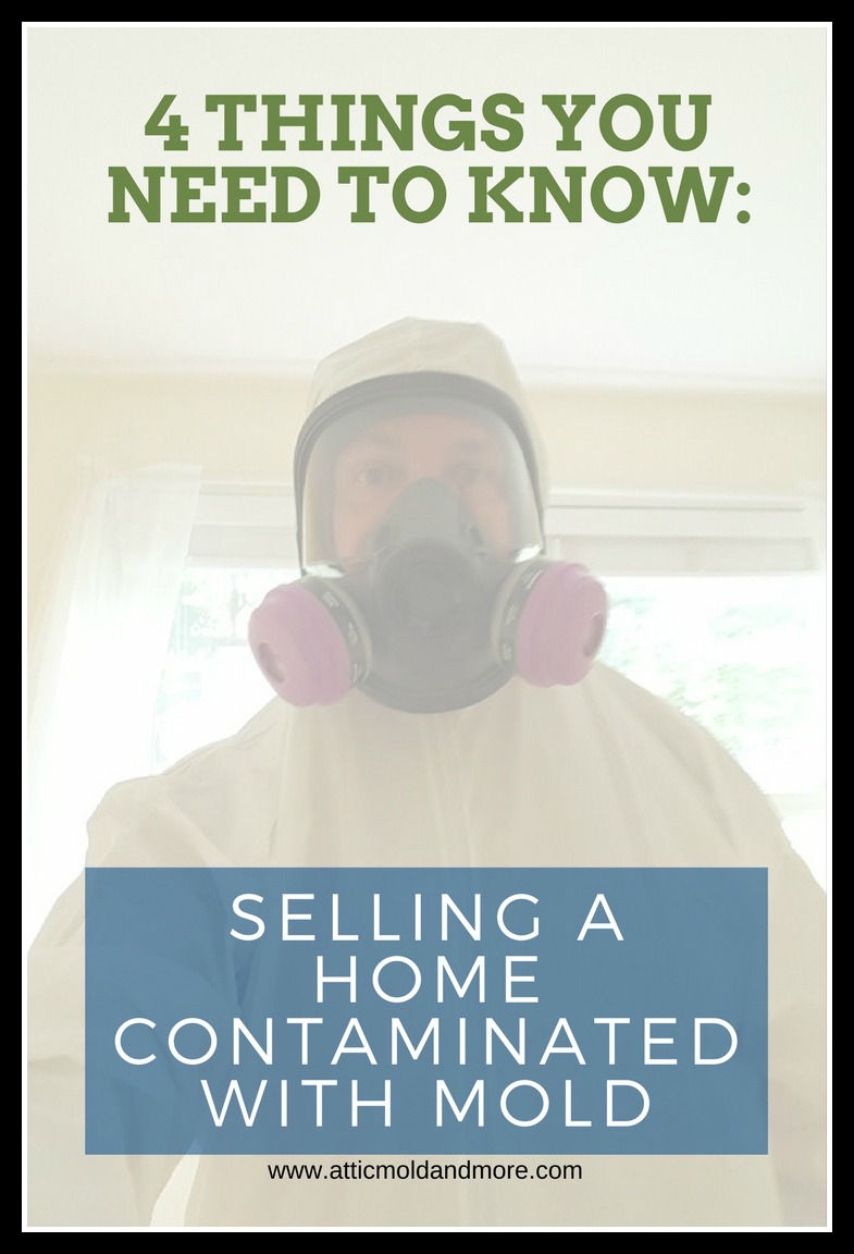 If you want to sell your home, then be cautious in investigating in your home with mold as this is not something you want to take lightly.